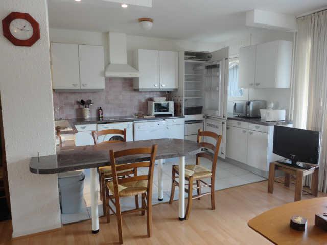 Olympe 38605 - Les Deux Alpes 1800