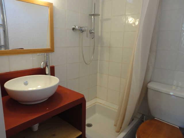 Côte Brune 38833 - Les Deux Alpes Venosc