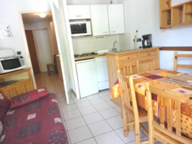 grande chaume 39272 - Les Deux Alpes Centre