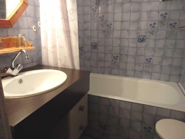 Alberges 39662 - Les Deux Alpes Centre