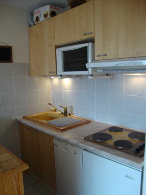 Tyrol 39819 - Les Deux Alpes Centre