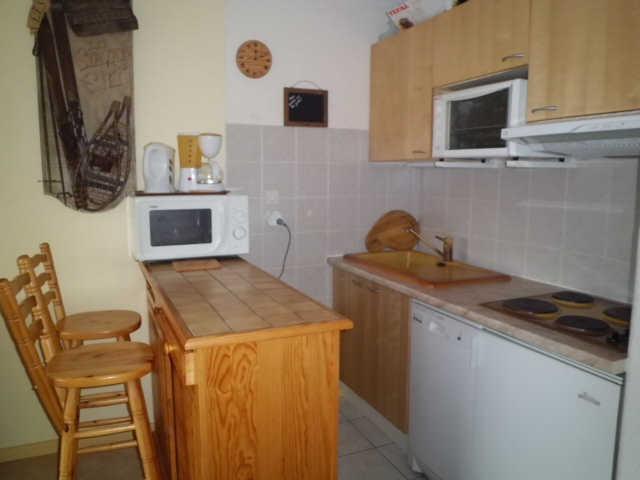 Tyrol 39819 - Les Deux Alpes Centre