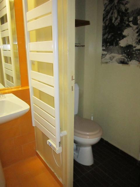 PIED DE L'ADROIT - Studio - Les Gets