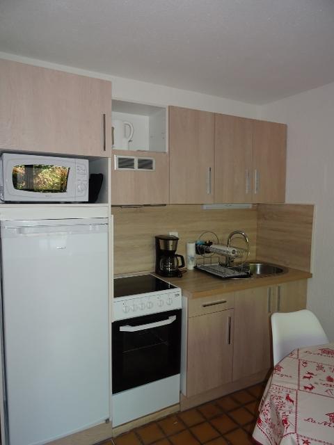 LE PAMEO IV - T2 - Les Gets