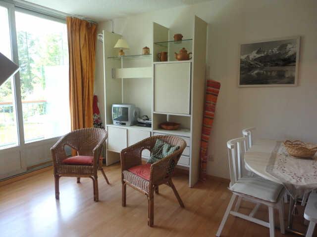 Côte Brune 41142 - Les Deux Alpes Venosc