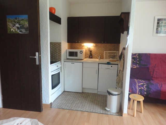 Côte Brune 41142 - Les Deux Alpes Venosc