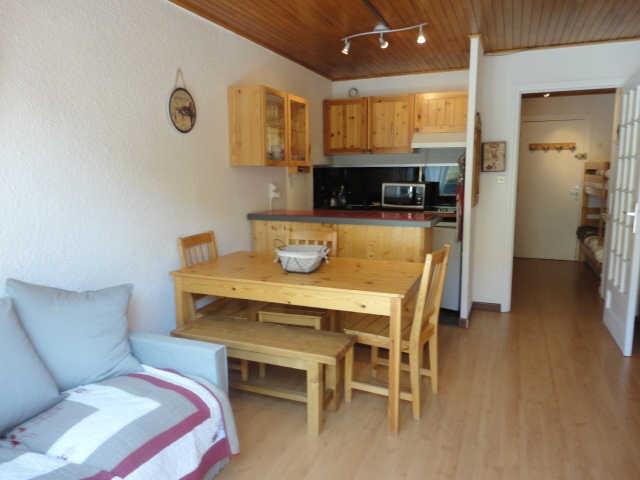 Eperon 42114 - Les Deux Alpes Centre