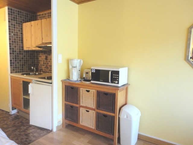 Olympe 42234 - Les Deux Alpes 1800