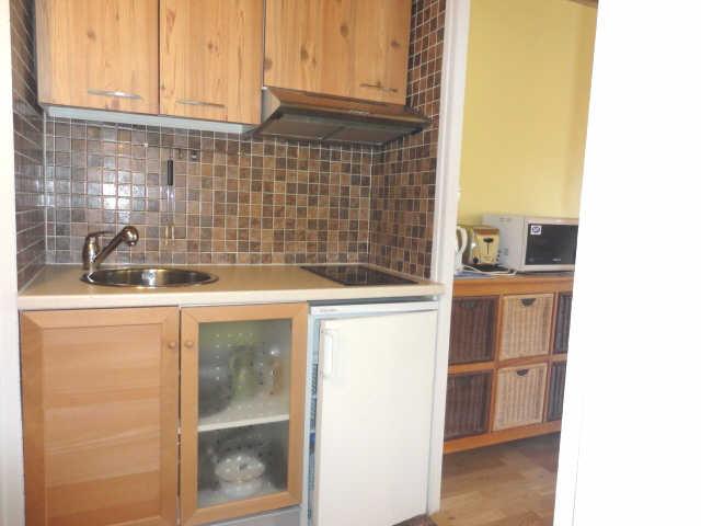 Olympe 42234 - Les Deux Alpes 1800