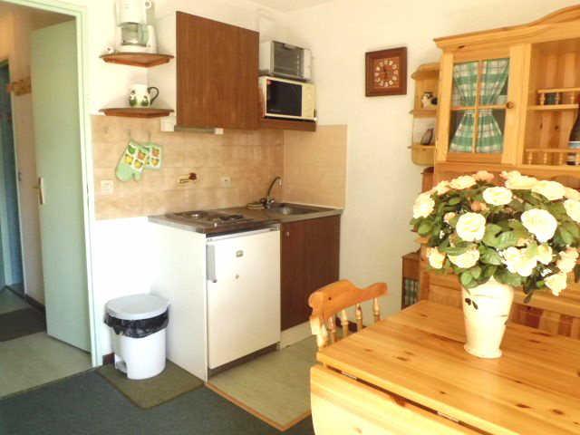 Pléiades 42351 - Les Deux Alpes Venosc