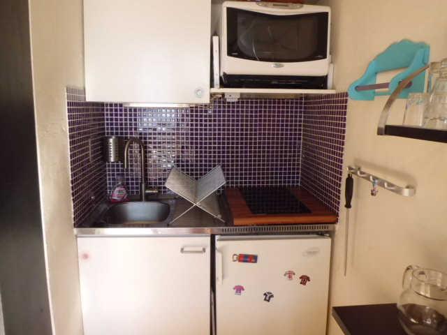 ARC EN CIEL 42433 - Les Deux Alpes 1800