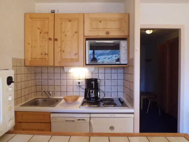 Plein Sud 42508 - Les Deux Alpes Centre