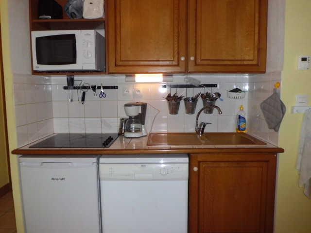 BALCON DES PISTES 43487 - Les Deux Alpes 1800