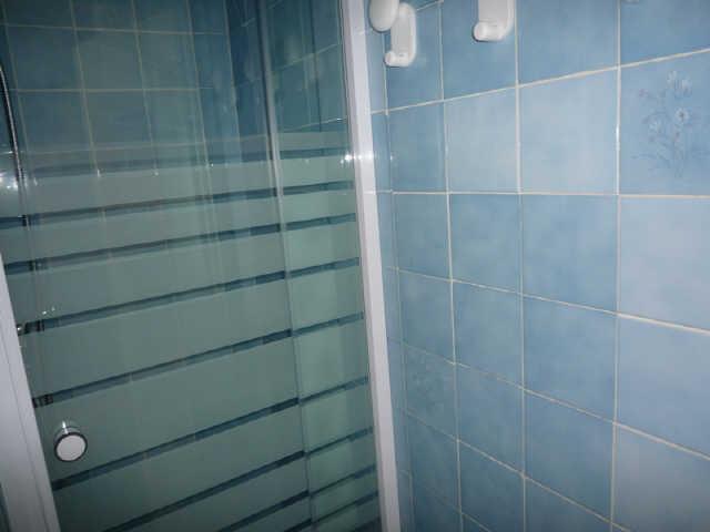 Pléiades 43225 - Les Deux Alpes Venosc