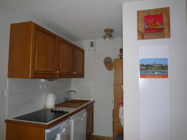 BALCON DES PISTES 43260 - Les Deux Alpes 1800