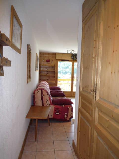 BALCON DES PISTES 43260 - Les Deux Alpes 1800