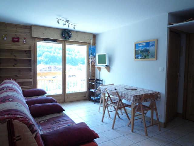 BALCON DES PISTES 43260 - Les Deux Alpes 1800