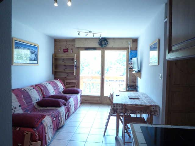 BALCON DES PISTES 43260 - Les Deux Alpes 1800