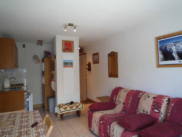 BALCON DES PISTES 43260 - Les Deux Alpes 1800