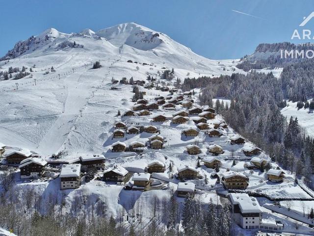 Bel appartement à 50m des pistes avec 2 chambres, mezzanine et balcon FR-1-391-97 - Le Grand Bornand