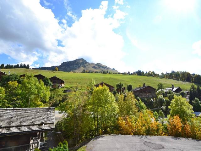 Appartement Pistes du Soleil A - Le Grand Bornand