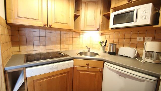 Chalet Dame Blanche DBAC16 - Puy Saint Vincent