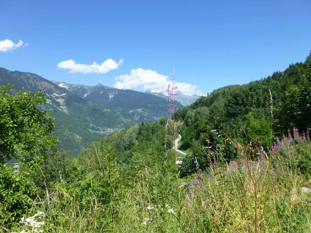 Appartements Nouvaz - La Tania