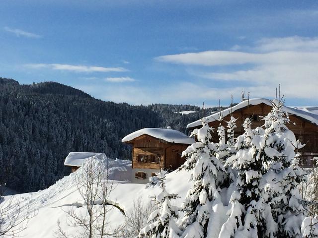 Chalet Chez Rose - Les Gets