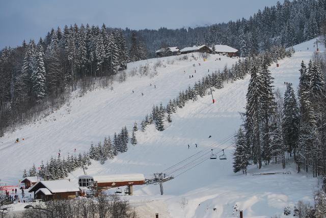 Appartement Perrières - Les Gets
