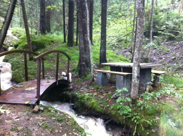 Appartement Ginkgo - Les Gets