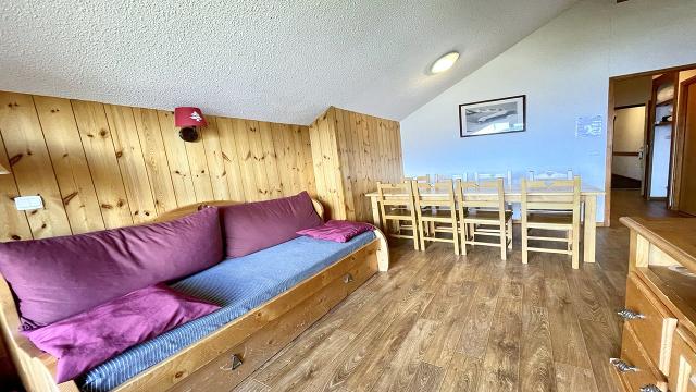Chalet Dame Blanche DBAC25P - Puy Saint Vincent