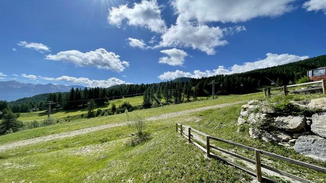 Chalet Dame Blanche DBAC22P - Puy Saint Vincent