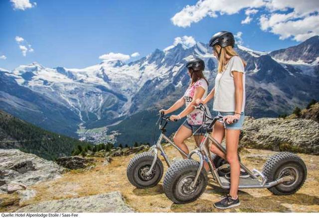 Hotel Alpenlodge Etoile - Saas - Fee