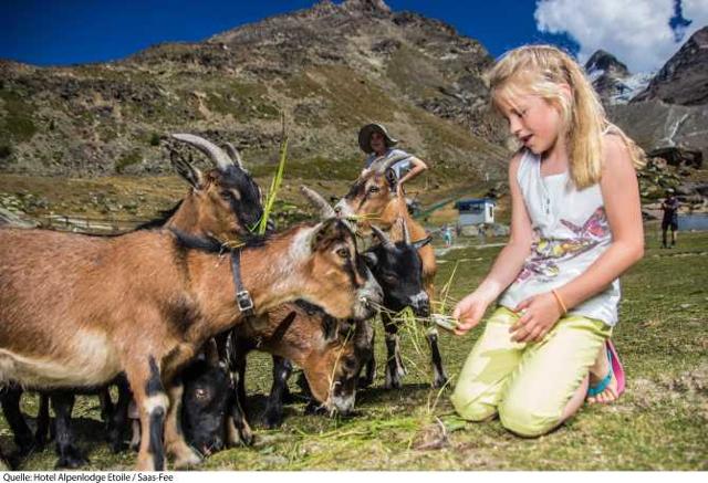 Hotel Alpenlodge Etoile - Saas - Fee