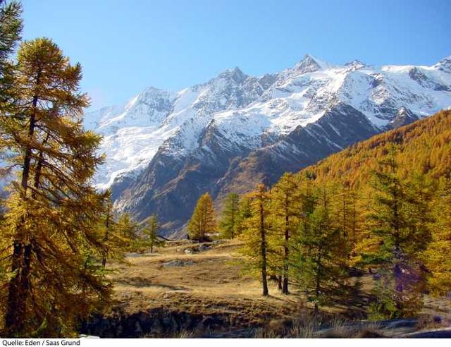 Hotel Eden - Saas - Grund