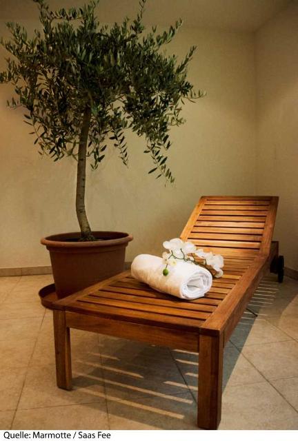 Hotel Marmotte - Saas - Fee