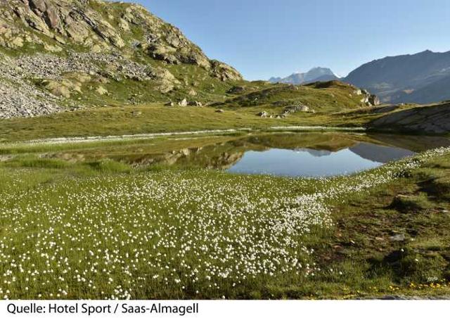 Hotel Sport - Saas - Almagell