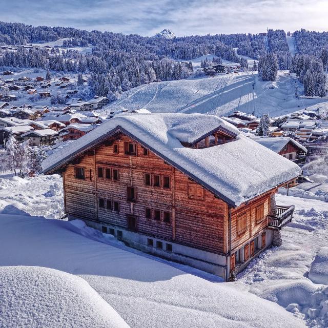 Appartement Sapiniere - Les Gets