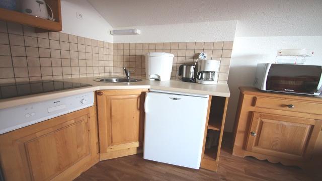 Appartement Dame Blanche DBA420 - Puy Saint Vincent