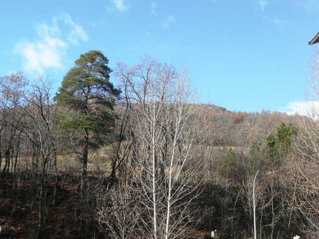 Guisanel 37826 - Serre Chevalier 1200 - Briançon