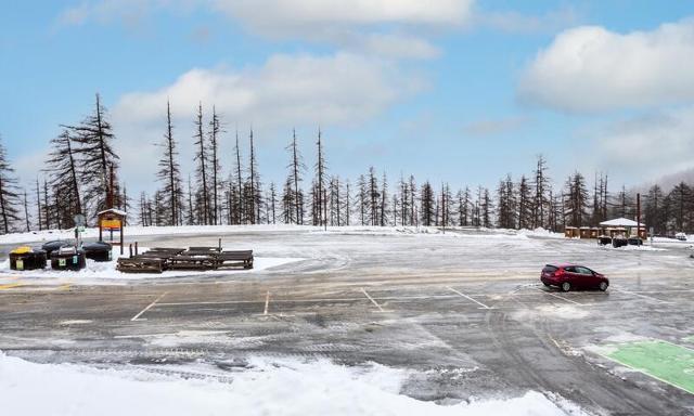 Résidence Les Mélèzes d'Or - Les Silènes - Les Orres