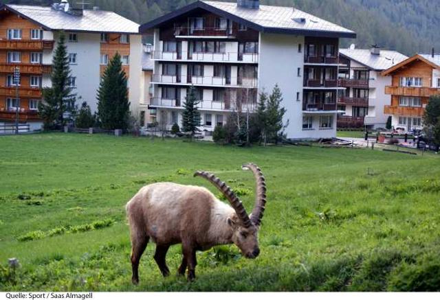 Hotel Sport - Saas - Almagell