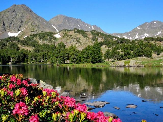 Résidence LES ROITELETS - Font Romeu - Pyrénées 2000