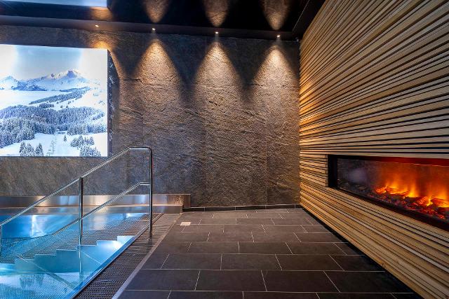 Chalet ASPEN - Avoriaz