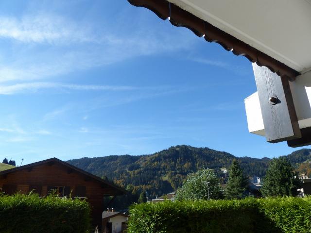 Proche du village, des pistes de ski, de l'espace aquatique. Terrasse - La Clusaz