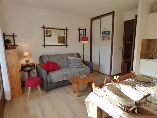 Joili petit studio en rez-de-jardin - Le Jaillet - Megève