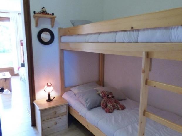 Joili petit studio en rez-de-jardin - Le Jaillet - Megève