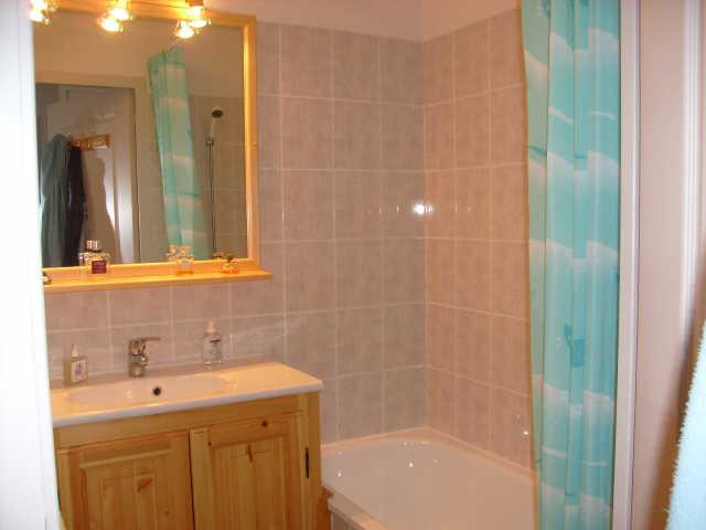 Queyrettes 35137 - Puy Saint Vincent