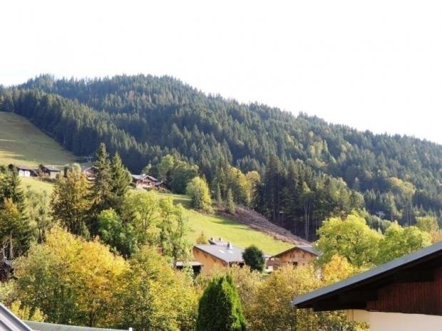 CLOS80 : Appartement rénové, au calme, proximité centre, beaux volumes - Les Gets