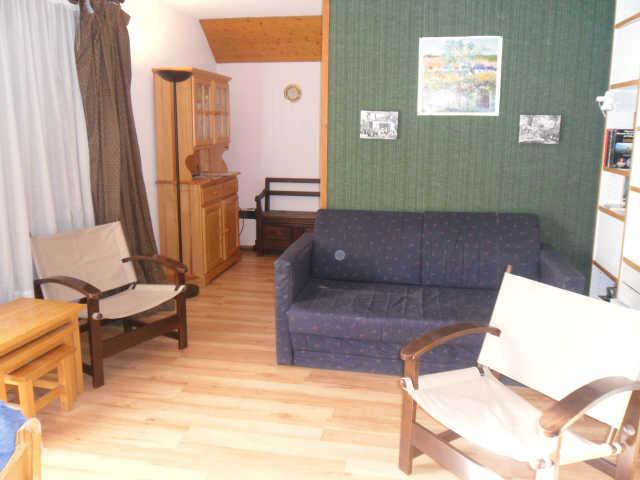 Eyssallarettes 35166 - Puy Saint Vincent